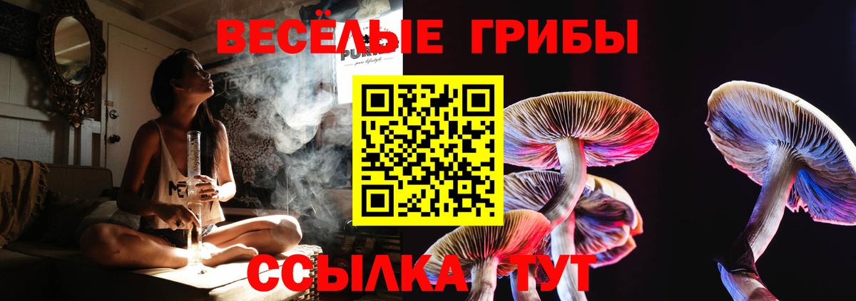 Галлюциногенные грибы MAGIC MUSHROOMS  Вход с VPN  Туймазы 